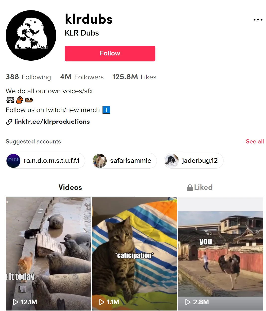 AI TikTok Bio Generator - Dance Creator